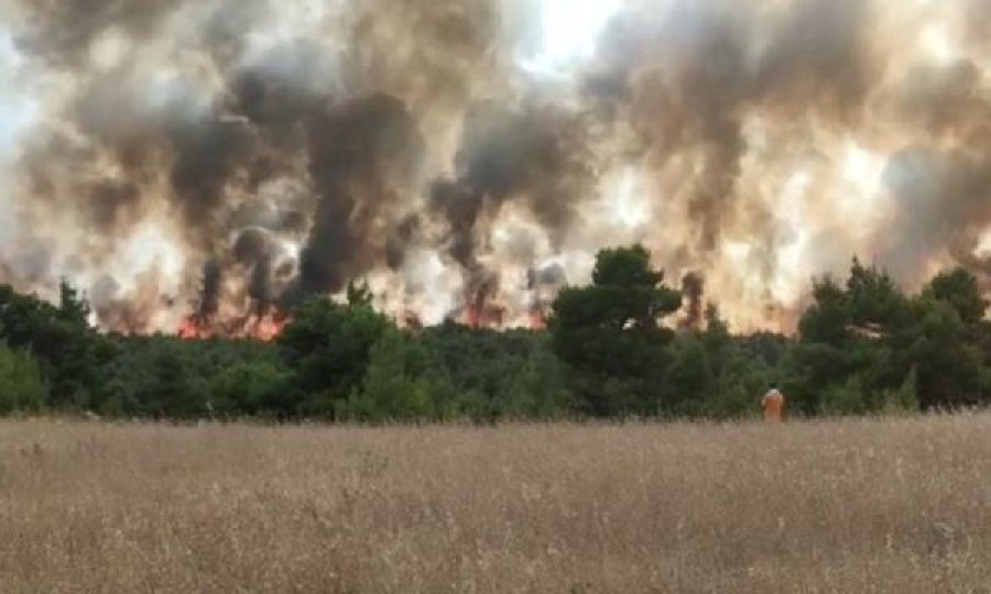 Qielli bëhet i zi nga tymi, pamje të frikshme nga zjarret në Greqi