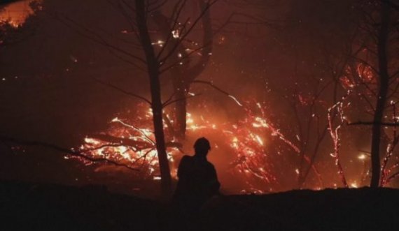  Zjarret dalin jashtë kontrollit në Greqi, kryeministri paralajmëron: Më e keqja s’ka ardhur akoma 