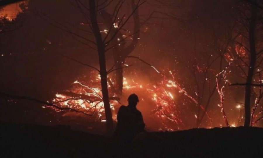  Zjarret dalin jashtë kontrollit në Greqi, kryeministri paralajmëron: Më e keqja s’ka ardhur akoma 