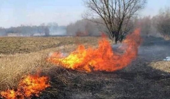 Gjakovari i’a vë flakën shkurreve të tij, zjarri del jashtë kontrollit 