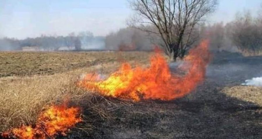 Gjakovari i’a vë flakën shkurreve të tij, zjarri del jashtë kontrollit 