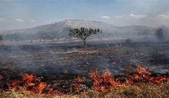 Humb jetën 8 ditë pas të shoqit dhe 60-vjeçarja që u dogj 