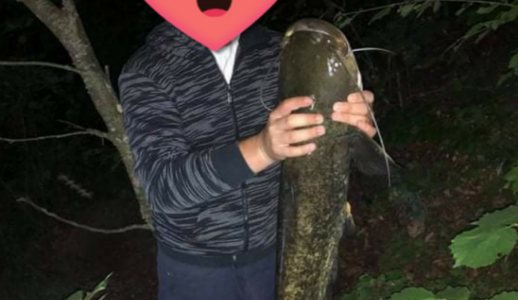Në Kamenicë peshkohet një peshk rreth 1.5 metra i gjatë