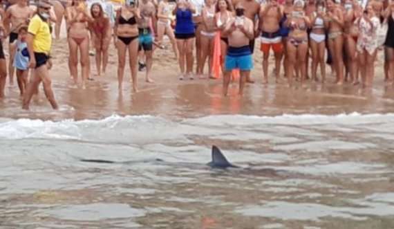  Peshkaqeni 8 metra i gjatë del në breg, tmerrohen pushuesit 