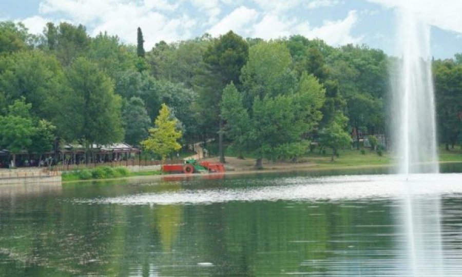  Ngjarje e rëndë në Tiranë, gjendet e varur në pemë te Liqeni Artificial, një 32 vjeçare 
