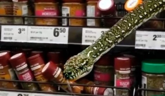  Gjarpri tmerron blerësit duke rrëshqitur përgjatë raftit të erëzave në supermarket 