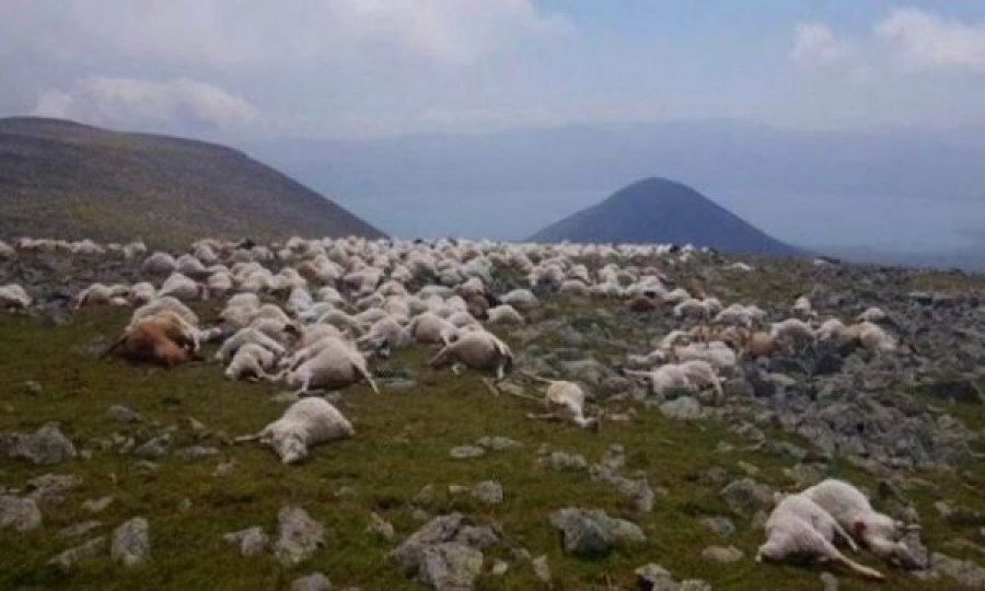 Rrufeja vret mbi 500 dele, detajet dhe pamjet “horror” nga vendi i ngjarjes
