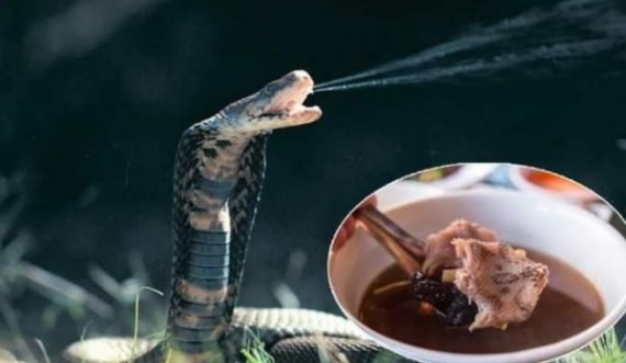  E pazakontë/ Gjarpri i merr jetën kuzhinierit 20 minuta pasi ia preu kokën për ta bërë supë 