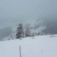 Një familje në Rugovë e izoluar nga bora, kërkon ndihmë nga Komuna e Pejës