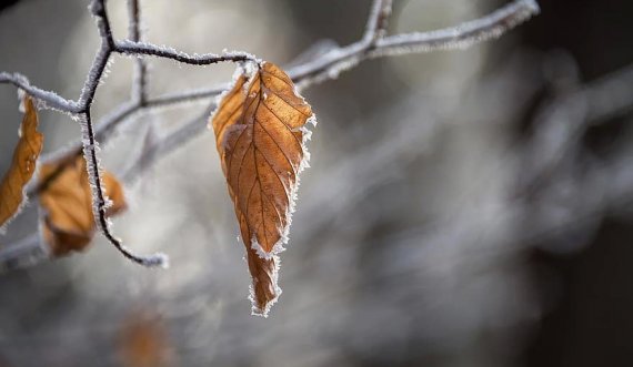 Ngrica dhe mot i vranët, këto janë temperaturat sot