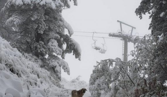 Brezovica mbushet me borë, atraksion turistik për vizitorët e huaj