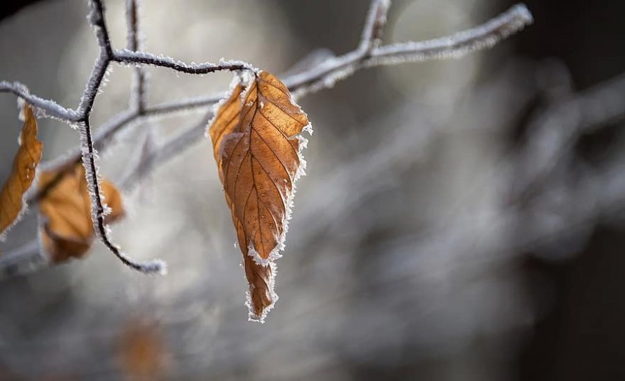 Ngrica dhe mot i vranët, këto janë temperaturat sot