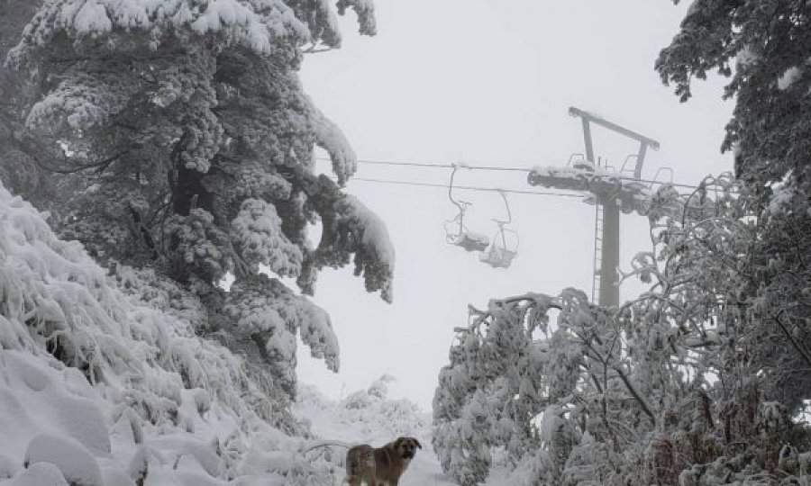 Brezovica mbushet me borë, atraksion turistik për vizitorët e huaj