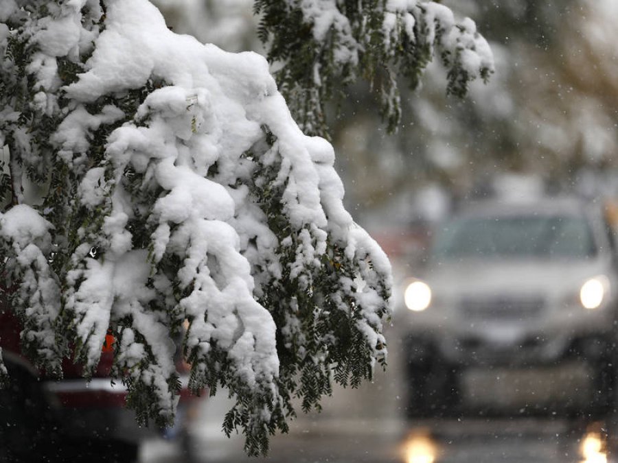 Reshje shiu e bore, këto janë temperaturat për pesë ditë