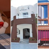 Hidhni një sy brenda hotelit në Tunizi, ku të ftuarit e vetëm janë kafshët shtëpiake