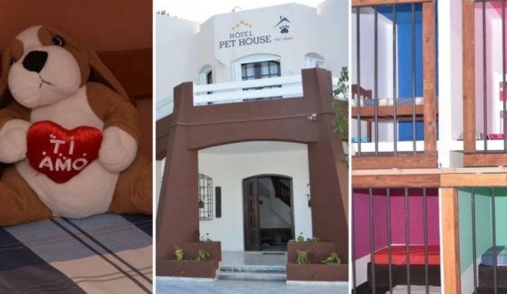 Hidhni një sy brenda hotelit në Tunizi, ku të ftuarit e vetëm janë kafshët shtëpiake