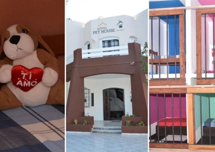Hidhni një sy brenda hotelit në Tunizi, ku të ftuarit e vetëm janë kafshët shtëpiake