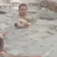 Policët futen në ujin e akullt për ta shpëtuar qenin e ngujuar