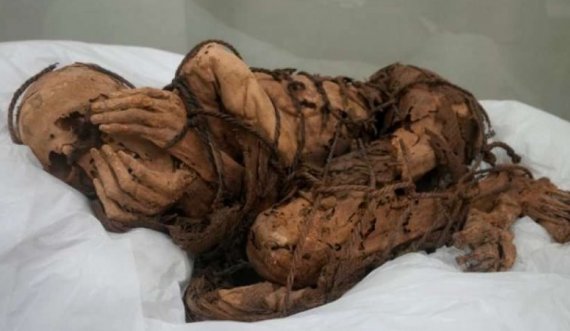 Del në ekspozitë mumja e vjetër deri në 1200 vjet