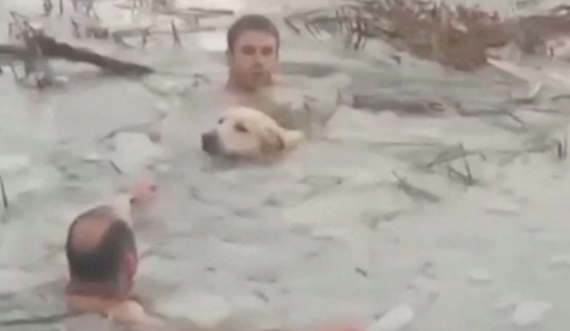 Policët futen në ujin e akullt për ta shpëtuar qenin e ngujuar