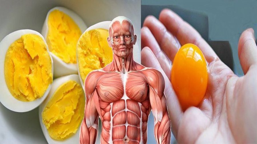 Përfitimet shëndetësore nëse hani vezë çdo mëngjes