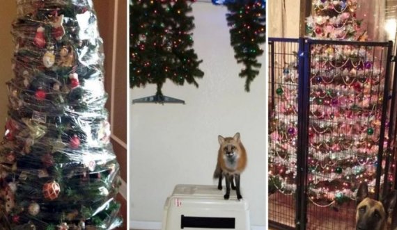 Ja se si të mbroni pemën e Krishtlindjes nga kafshët shtëpiake?
