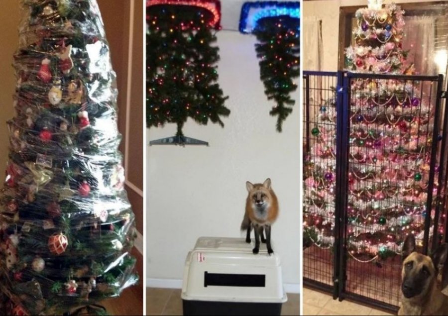 Ja se si të mbroni pemën e Krishtlindjes nga kafshët shtëpiake?
