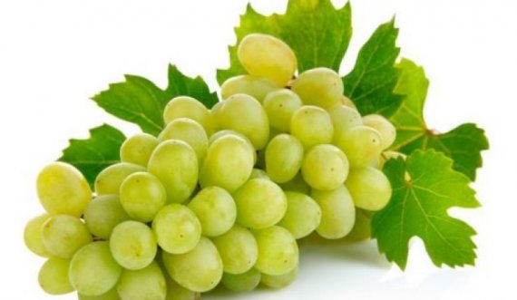 Vetitë shëruese të rrushit