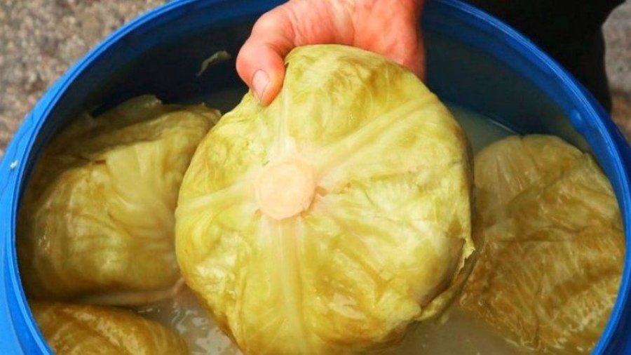 Qe pse është mirë të hani sa më shpesh lakër turshi