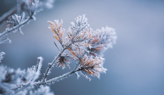 Parashikimi i motit për javën e fundit të dhjetorit