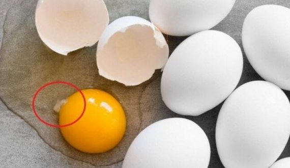 Çka i ndodh nëse hani vezë