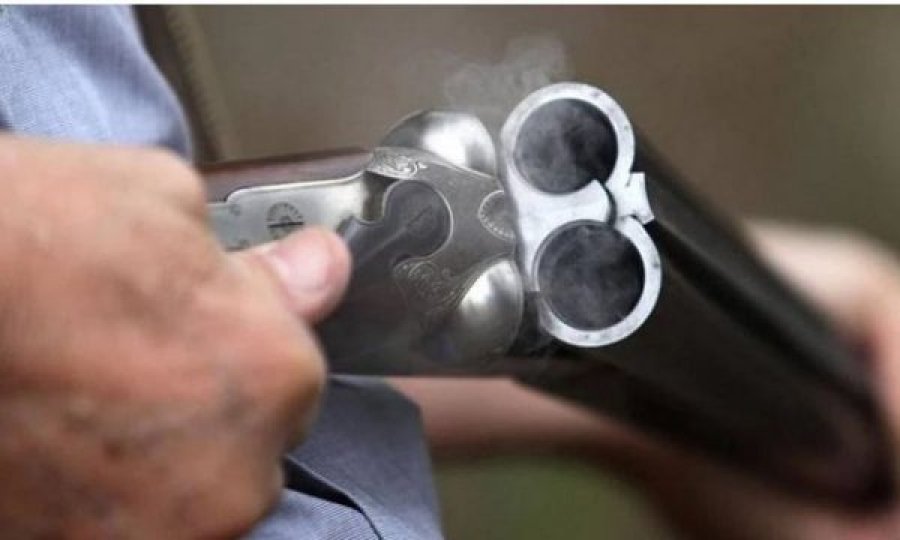 Vrau qenin me armë gjahu burri gjobitet me 30 mijë euro