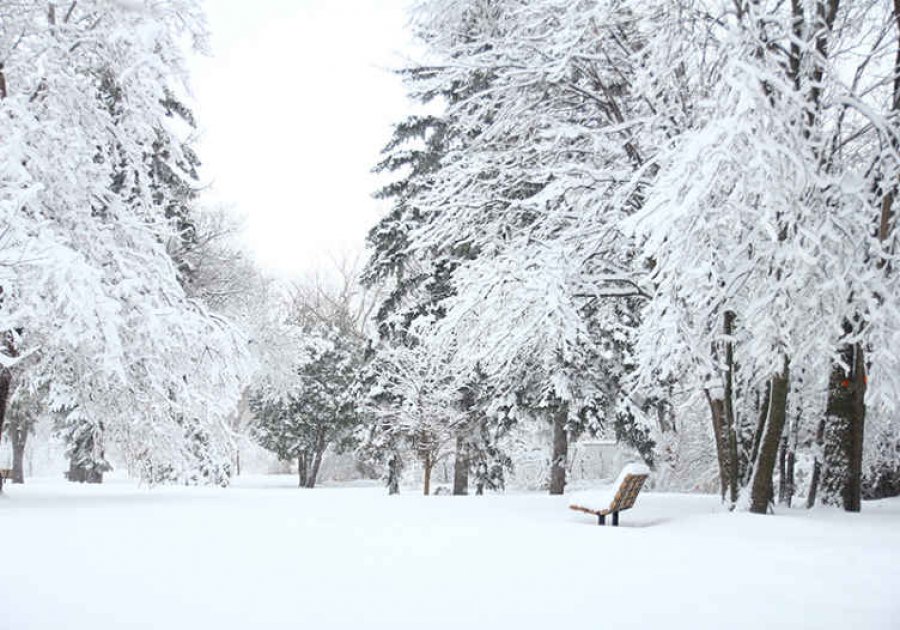 Në Kosovë pa të, por në këtë shtet shënohet rekord i borës