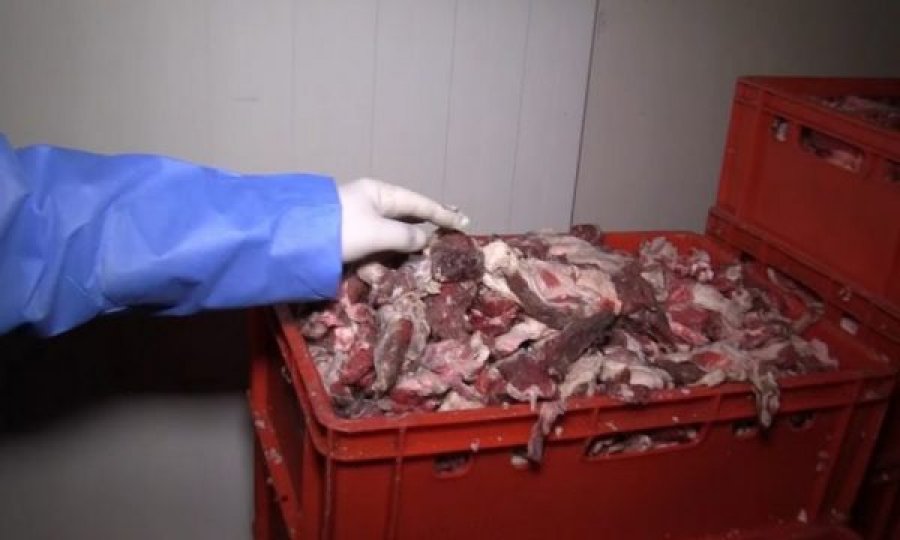 Kapen 400 kilogramë mish të prishur në Gurrakoc të Istogut
