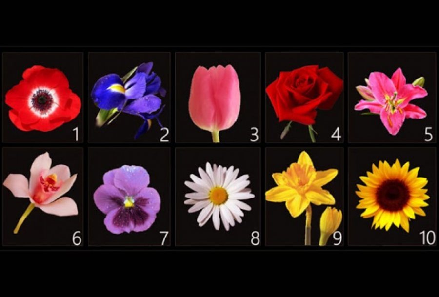Zgjidhni një lule dhe zbuloni anën e fshehtë të personalitetit tuaj