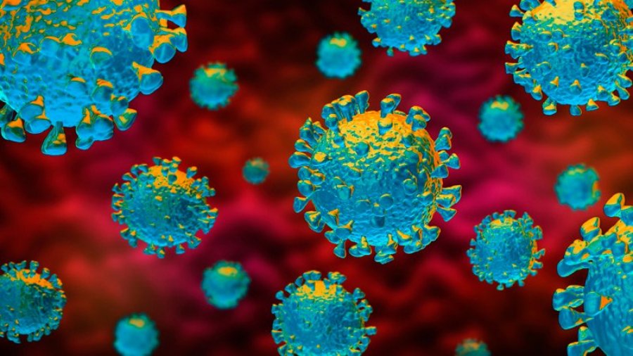Studimi i ri në Angli: Sa ju mbrojnë antitrupat pas infektimit me koronavirus