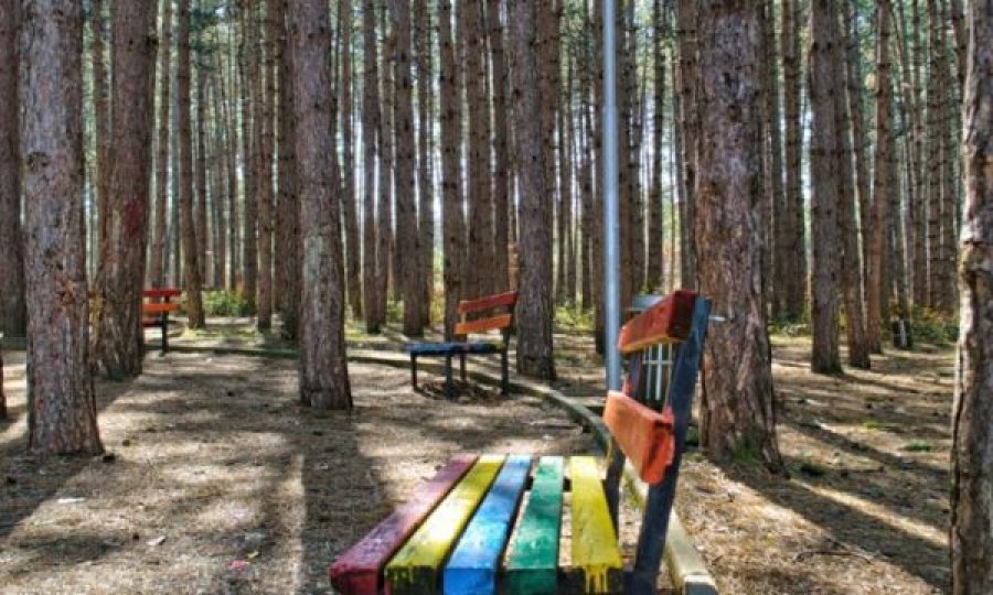 Gjendet një mjet shpërthyes midis parkut në Ferizaj