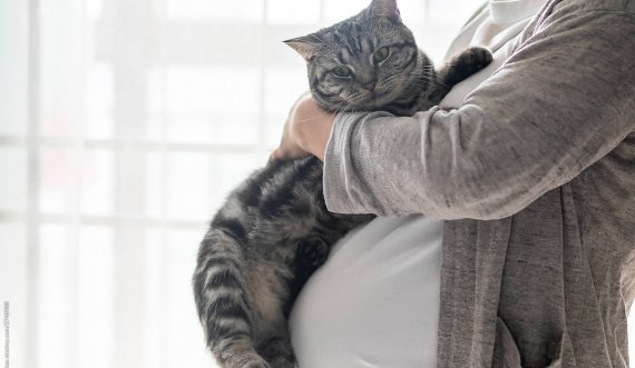 Arsyeja pse femrat shtatzënë duhet të bëjnë kujdes nga macet në shtëpi!