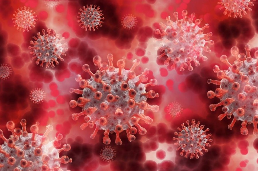 Kina: Tash, hetojeni në SHBA origjinën e koronavirusit