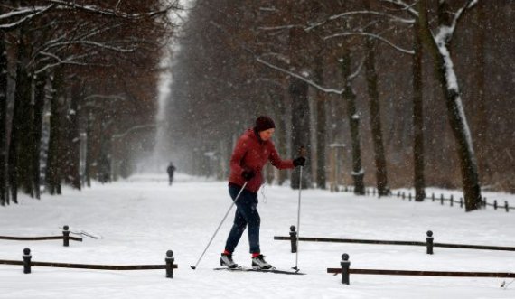 I ftohi polar përfshin Europën