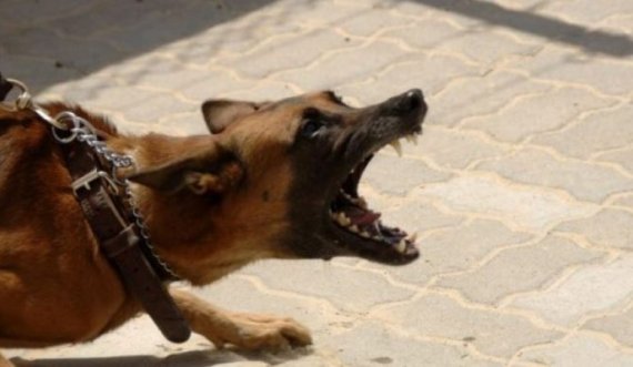 Ngjarje e tmerrshme në Skenderaj: Qeni i rrugës futet në oborr dhe kafshon pronarin e shtëpisë