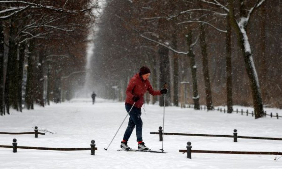 I ftohi polar përfshin Europën