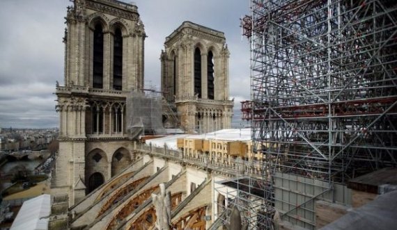 Franca kërkon lisa 200-vjeçar për rindërtimin e Notre Dame