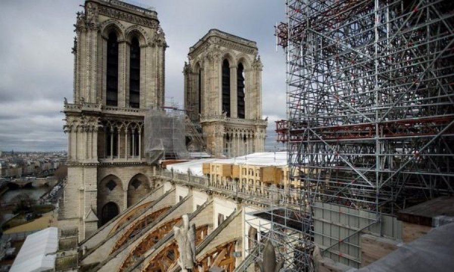 Franca kërkon lisa 200-vjeçar për rindërtimin e Notre Dame