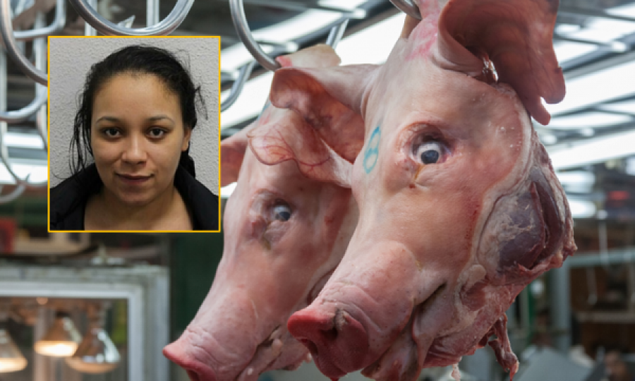 Burgoset gruaja që i dërgoi kokë derri në restorantin “hallall” ish të dashurit