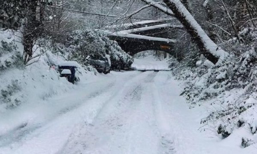 Ja kush është 90-vjeçarja që eci 16 kilometra në borë për t’u vaksinuar