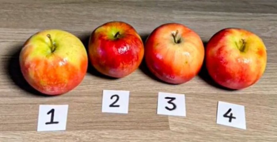 A mund t’ia qëlloni për 8 sekonda se cila nga mollat s’është reale?