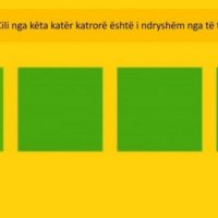 A mund ta gjeni cili nga këta katrorë është ndryshe?
