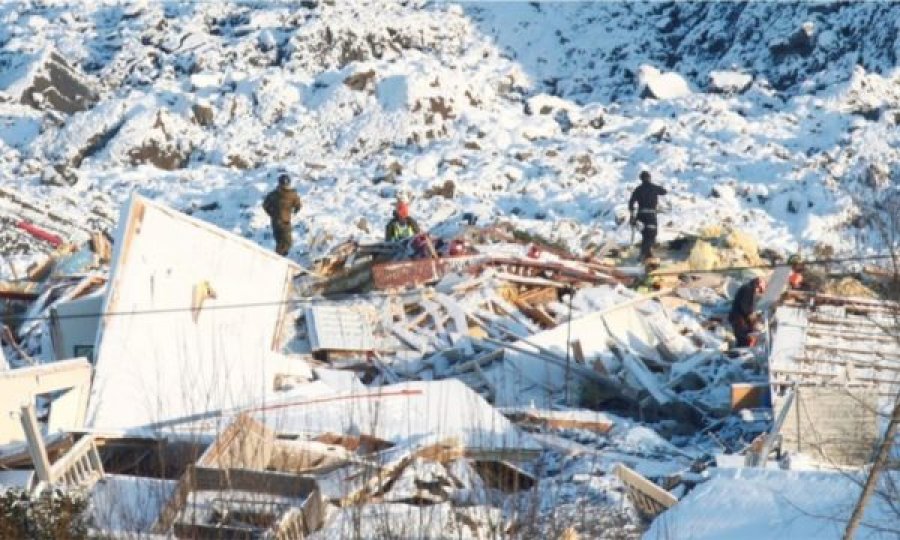 Norvegji: Qeni gjendet i gjallë nën rrënoja, gjashtë ditë pas rrëshqitjes së dheut 