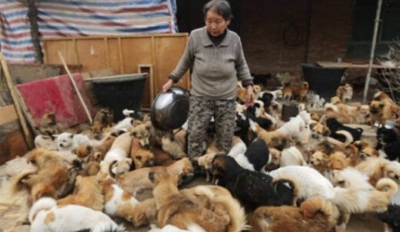 Kjo grua jeton me 1.300 qen, 100 mace dhe 4 kuaj